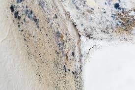 Best Residential Mold Inspection & Testing  in Haysville, KS